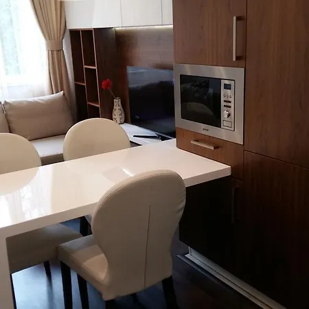 Apartment Lozenets *